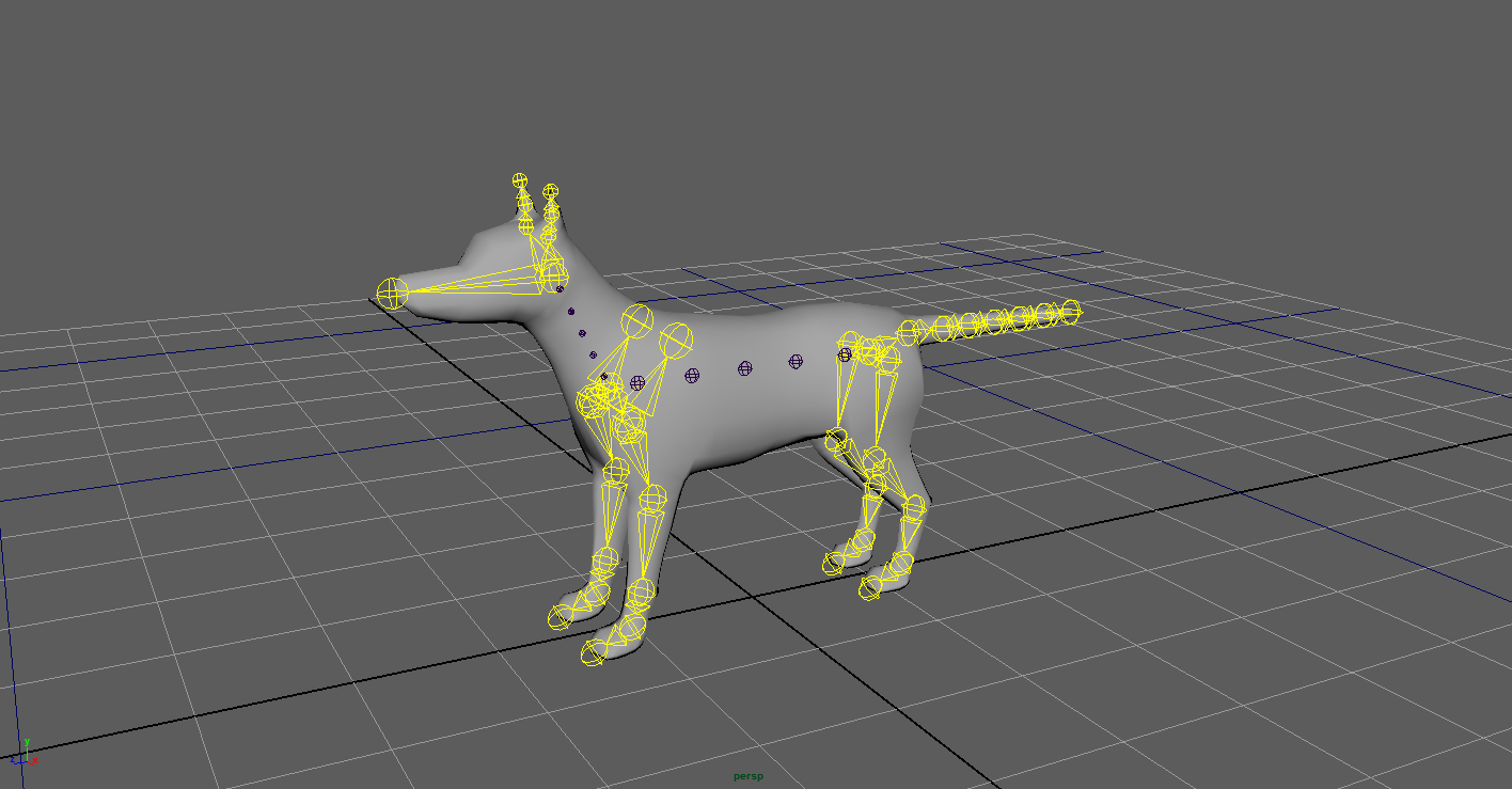 Quadruped Dog Rig Skeleton