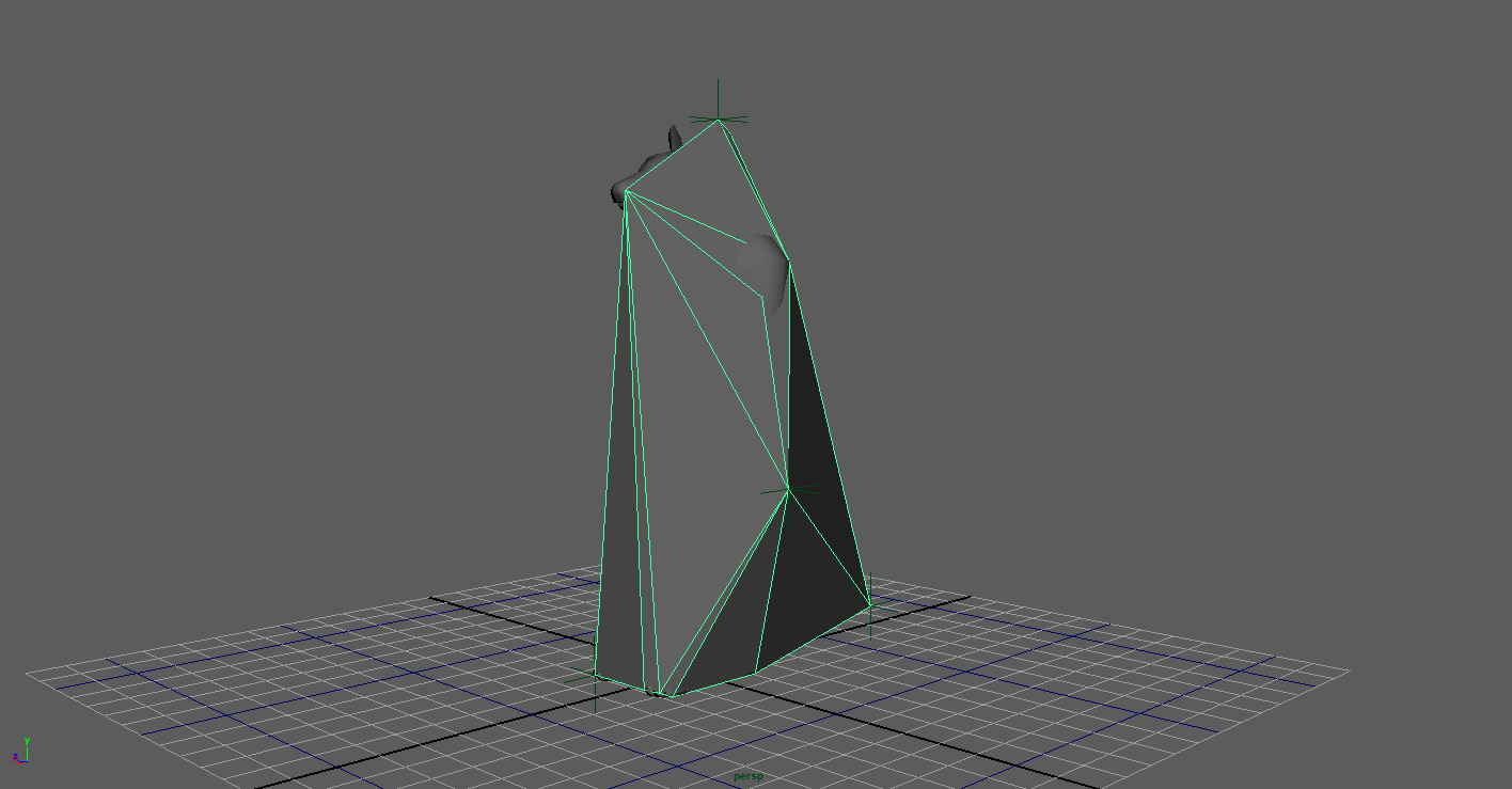 Partially complete convex hull for humanoid rat model